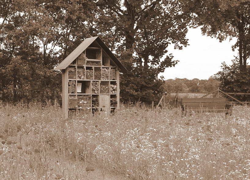 Insektenhotel in Sepia. von Jose Lok