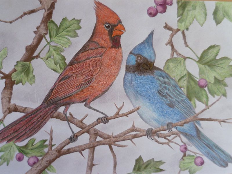 vogel duo by Edith Boogaard van den 