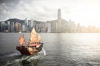 Dukling in HongKong