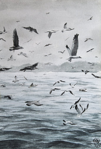 'The Seagulls I'
