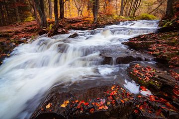 L'automne dans les montagnes du Harz sur Martin Wasilewski