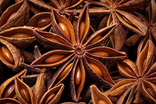 Dried whole star anise seeds close up in a total image