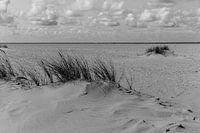 Zandvlakte nabij De Cocksdorp