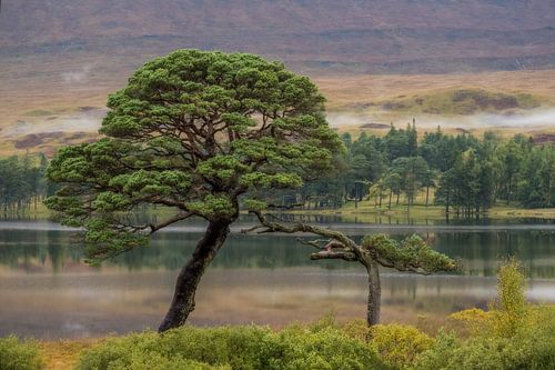 Pastel d'automne sur Peter Proksch