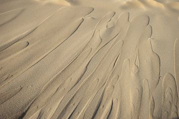 Druipend zand van Dune De Pilat van Axel Weidner