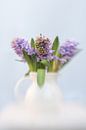 Hyacint van Alexandra Bijl thumbnail