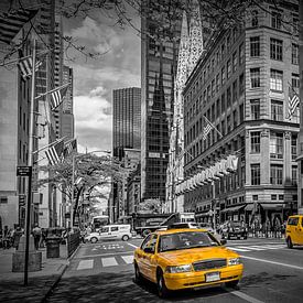 MANHATTAN 5th Avenue by Melanie Viola