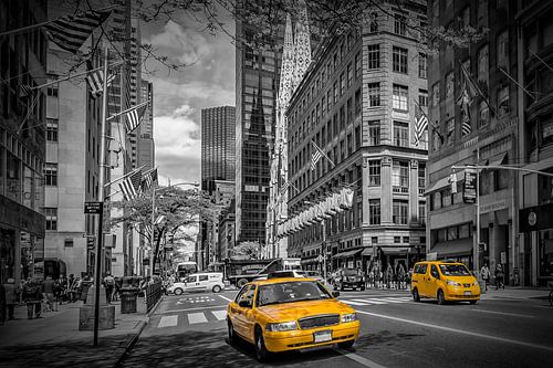MANHATTAN 5th Avenue by Melanie Viola