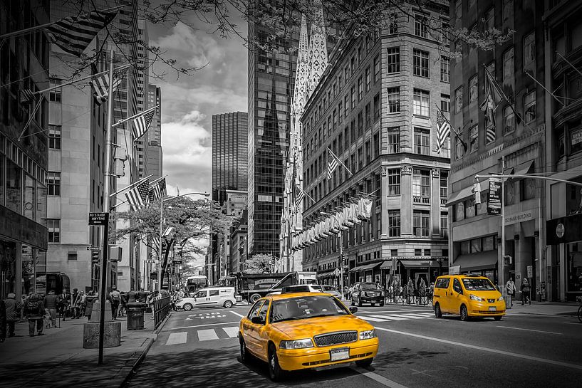 MANHATTAN 5th Avenue van Melanie Viola