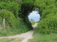 View to the sea in France -  doorkijk naar de zee in Frankrijk - durch Blick in Frankreich
