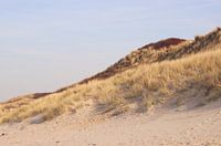 Duinen