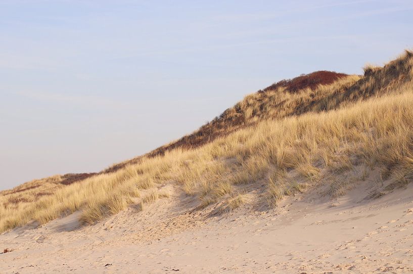 Duinen by Cinthia Mulders