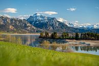 Panorama am Forggensee mit Blick auf die Alpen von Leo Schindzielorz Miniaturansicht