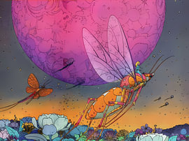 Un papillon sous la lune rose sur Hayley Landseer