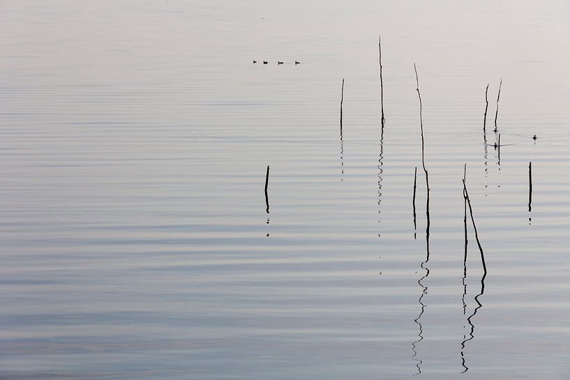 Stokken in het water von Rene  den Engelsman