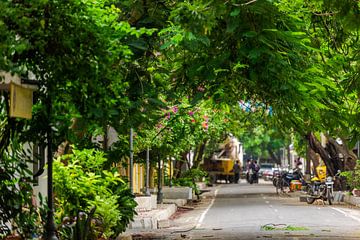 Prachtige laan in het midden van de stad Pondicherry, Tamil Nadu, Zuid-India van Robert Ruidl
