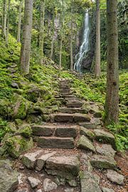 Burgbach Waterfall in the Black Forest by Michael Valjak