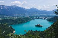 Lac de Bled entouré d'un paysage montagneux par Steven Marinus Aperçu
