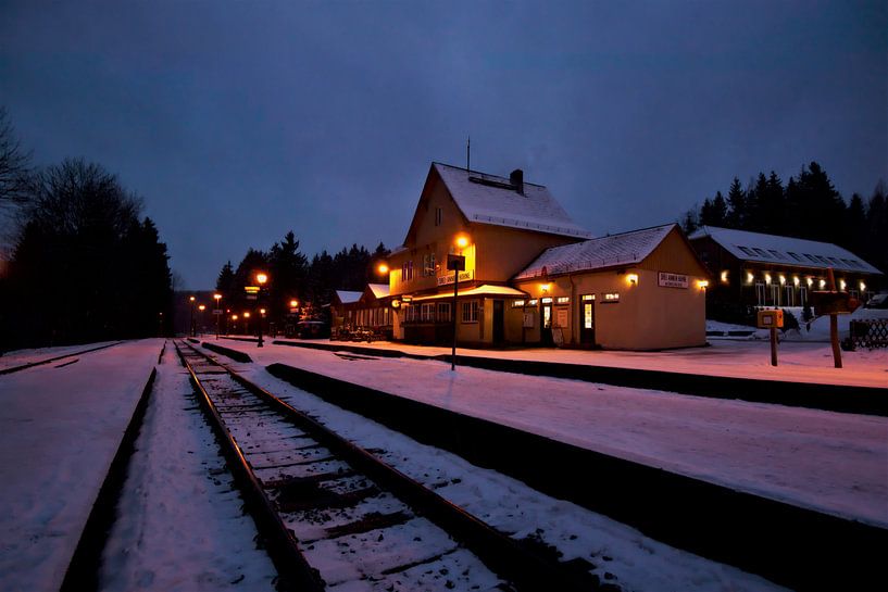 Winterlicher Bahnhof im Harz von Leon Eikenaar