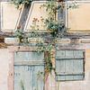 Muur van blauw, geel en groen | Oud begroeid huis in Frankrijk | Pastel reisfotografie wall art van Milou van Ham
