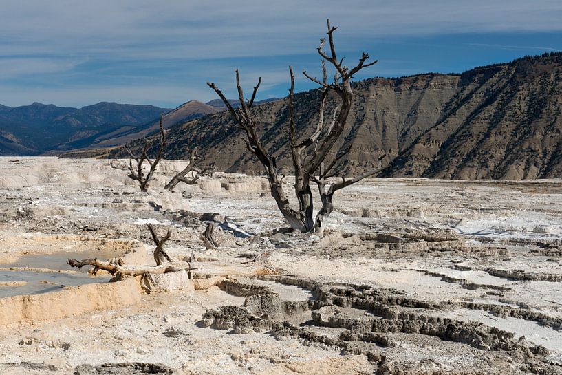Sources chaudes de Mammoth PN de Yellowstone par René Roelofsen