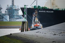 Schlepper Peter Wessels mit Marvel Pelican von Jan Georg Meijer