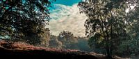 Panoramic view at the Mookerheide