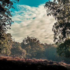 Panoramic view at the Mookerheide by Bas Stijntjes