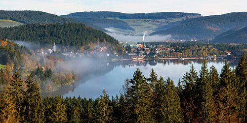 Uitzicht op Titisee in de ochtendmist
