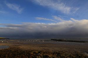 Ameland /Mooie luchten von Rinnie Wijnstra