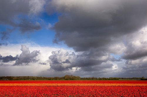 Dramatische Horizon.