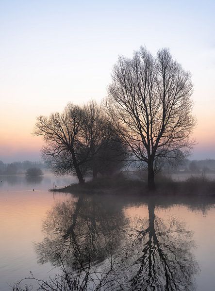 Meinerswijk part 23 by Tania Perneel