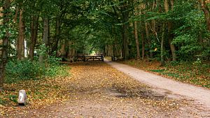 Westerheide