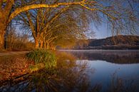 Baldeneysee, Essen, North Rhine-Westphalia, Germany by Alexander Ludwig thumbnail