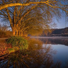 Baldeneysee, Essen, North Rhine-Westphalia, Germany by Alexander Ludwig