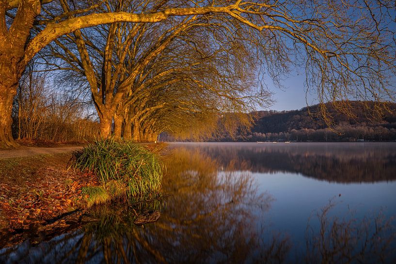Baldeneysee, Essen, North Rhine-Westphalia, Germany by Alexander Ludwig