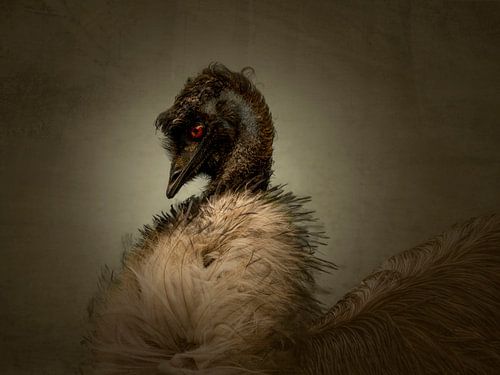 De Diva. De Emoe schrijdt voorbij. Impressionisme.