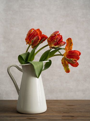 Red tulips in a vase