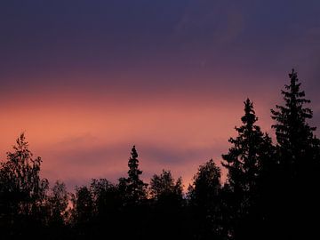 Zonsondergang boven Zweed sparrenbos van Antoon Loomans