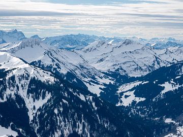 Uitzicht op het berglandschap in het Bregenzerwald van Animaflora PicsStock