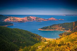Marlborough Sounds