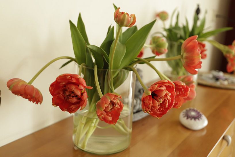 rood oranje pioen tulpen in een glazen vaas von Cora Unk