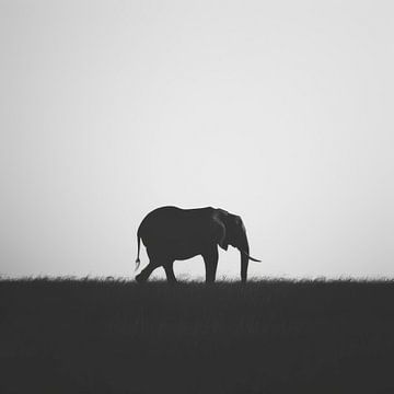 Silhouet van olifant in zwart-wit van Poster Art Shop