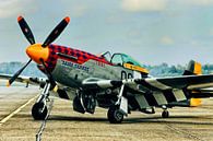 P-51 Mustang von Joost van Doorn Miniaturansicht