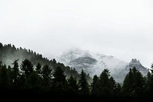 Snowtops