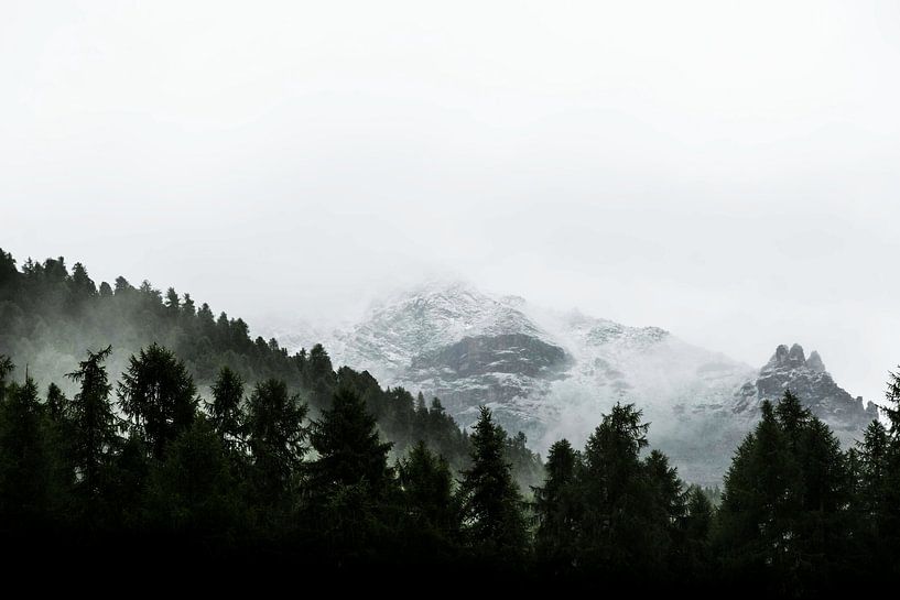 Sneeuwtoppen van Walljar