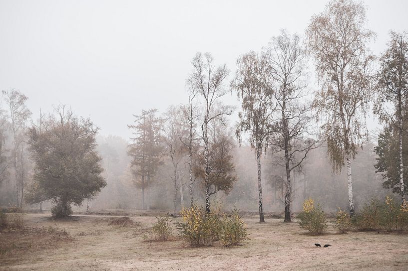 Paysages 6 par Mariëlle de Valk
