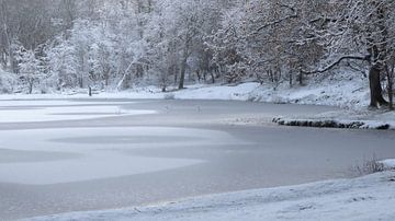 Winterwonderland in het Noordhollands Duinreservaat Bergen aan Zee van Bram Lubbers