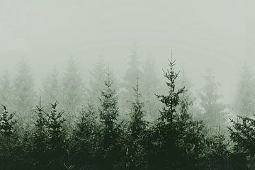 Bergbosgroen van Monika Strigel
