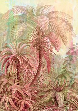 Lever de soleil évocateur dans la forêt tropicale sur FRESH Fine Art